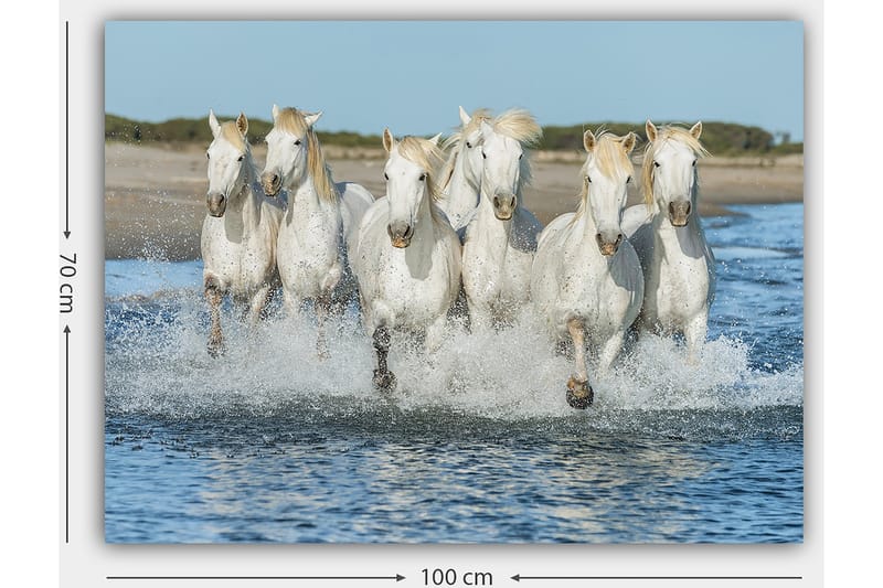 Dekorativ Canvasbilde 70x100 cm - Flerfarget - Interiør - Maleri & posters - Lerretsbilder