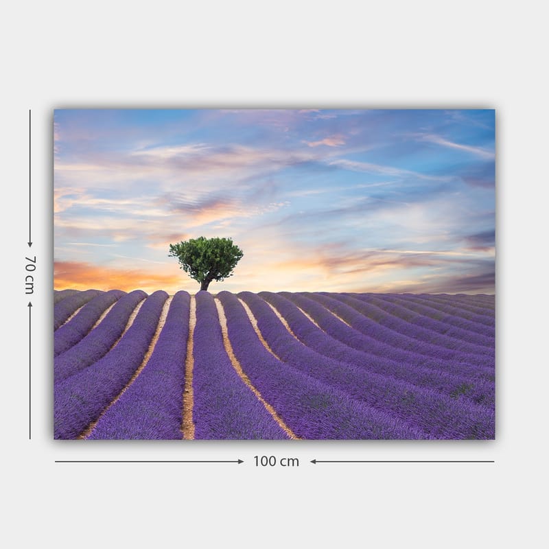 Dekorativ Canvasbilde 70x100 cm - Flerfarget - Interiør - Maleri & posters - Lerretsbilder