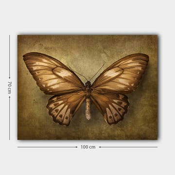 Dekorativ Canvasbilde 70x100 cm - Flerfarget - Interiør - Maleri & posters - Lerretsbilder