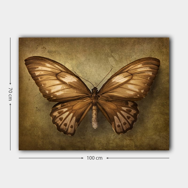 Dekorativ Canvasbilde 70x100 cm - Flerfarget - Interiør - Maleri & posters - Lerretsbilder