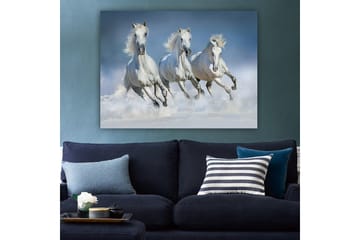 Dekorativ Canvasbilde 70x100 cm - Flerfarget - Interiør - Maleri & posters - Lerretsbilder