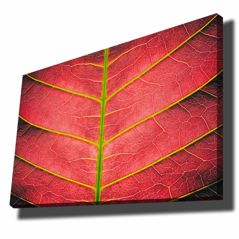 Dekorativ Canvasbilde 70x100 cm - Flerfarget - Interiør - Maleri & posters - Lerretsbilder