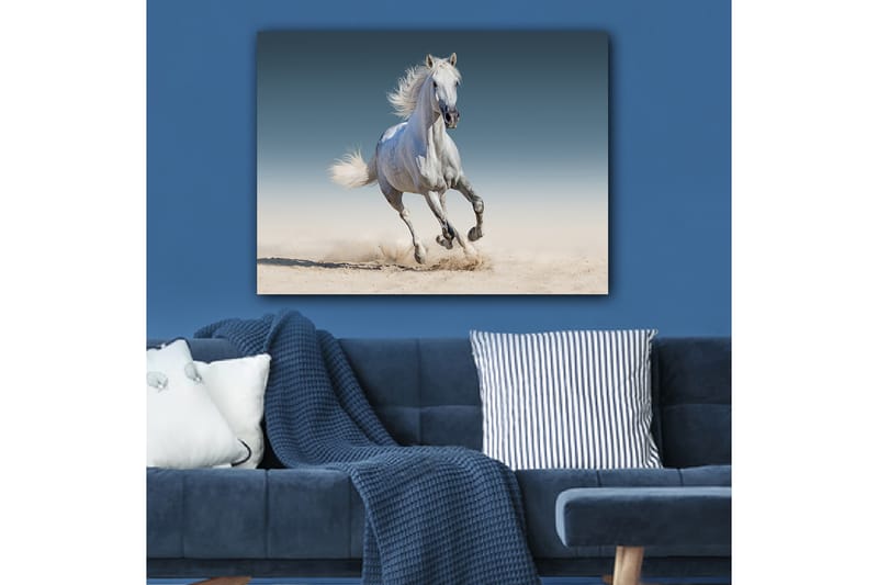 Dekorativ Canvasbilde 70x100 cm - Flerfarget - Interiør - Maleri & posters - Lerretsbilder