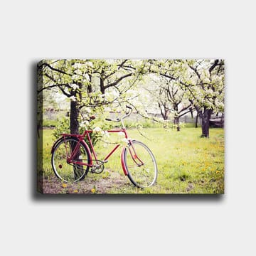 Dekorativ Canvasbilde 70x100 cm - Flerfarget - Interiør - Maleri & posters - Lerretsbilder