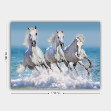 Dekorativ Canvasbilde 70x100 cm - Flerfarget - Interiør - Maleri & posters - Lerretsbilder