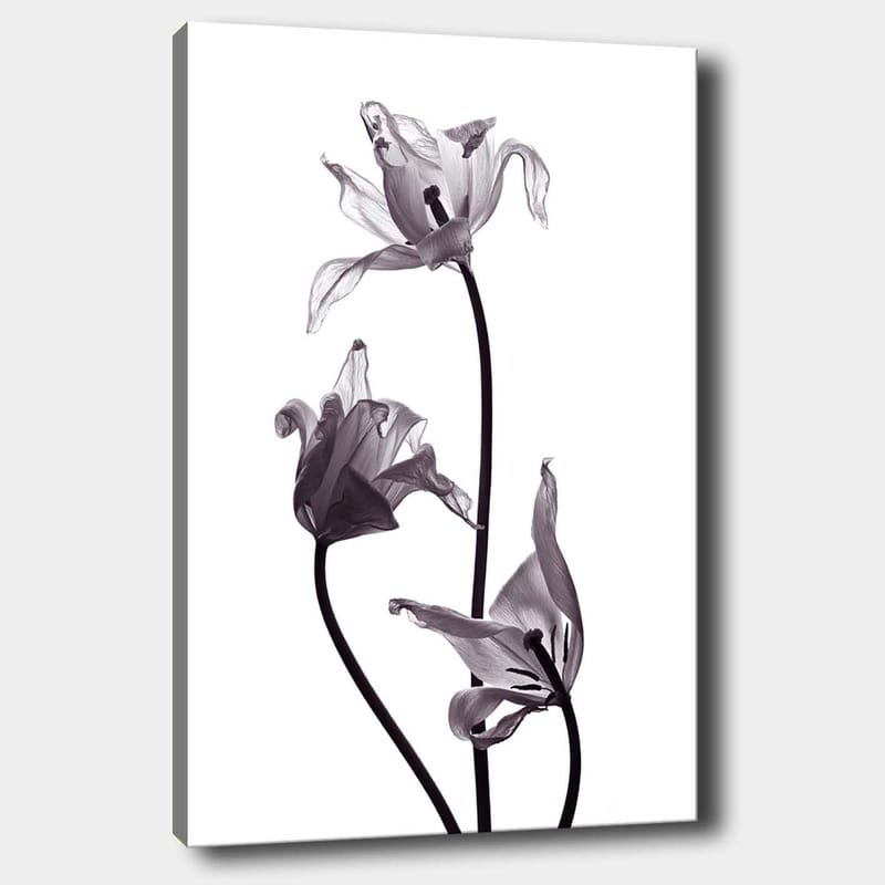 Dekorativ Canvasbilde 70x100 cm - Flerfarget - Interiør - Maleri & posters - Lerretsbilder