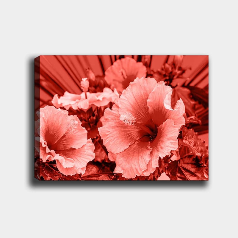 Dekorativ Canvasbilde 70x100 cm - Flerfarget - Interiør - Maleri & posters - Lerretsbilder
