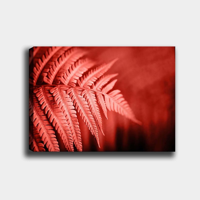 Dekorativ Canvasbilde 70x100 cm - Flerfarget - Interiør - Maleri & posters - Lerretsbilder