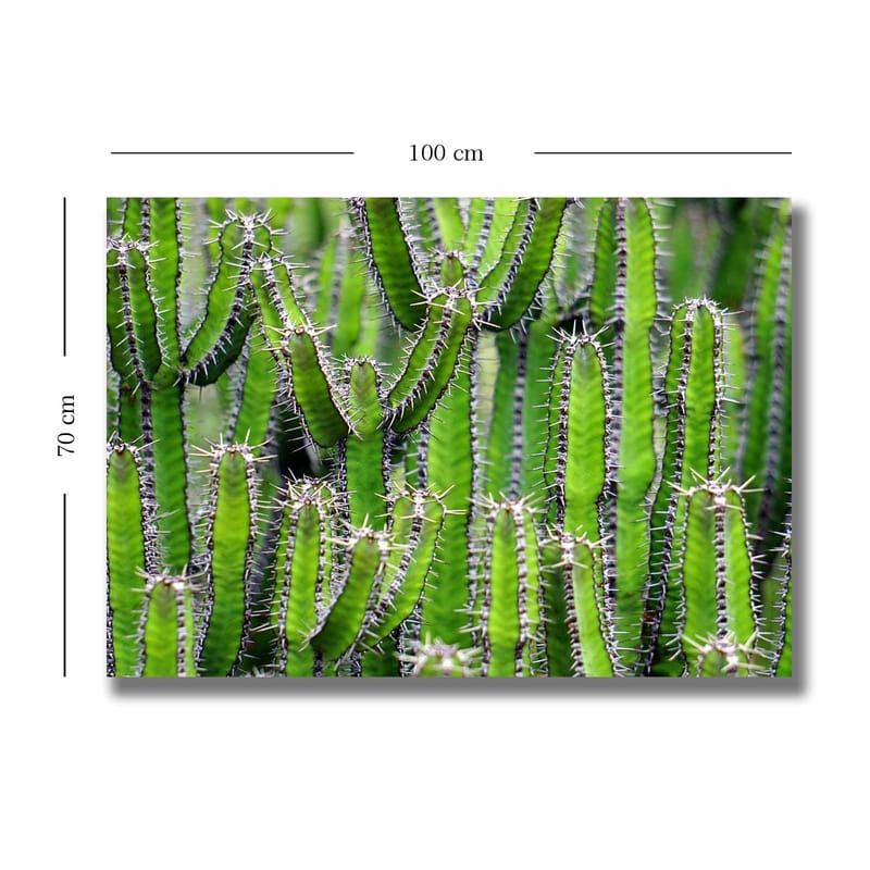 Dekorativ Canvasbilde 70x100 cm - Flerfarget - Interiør - Maleri & posters - Lerretsbilder