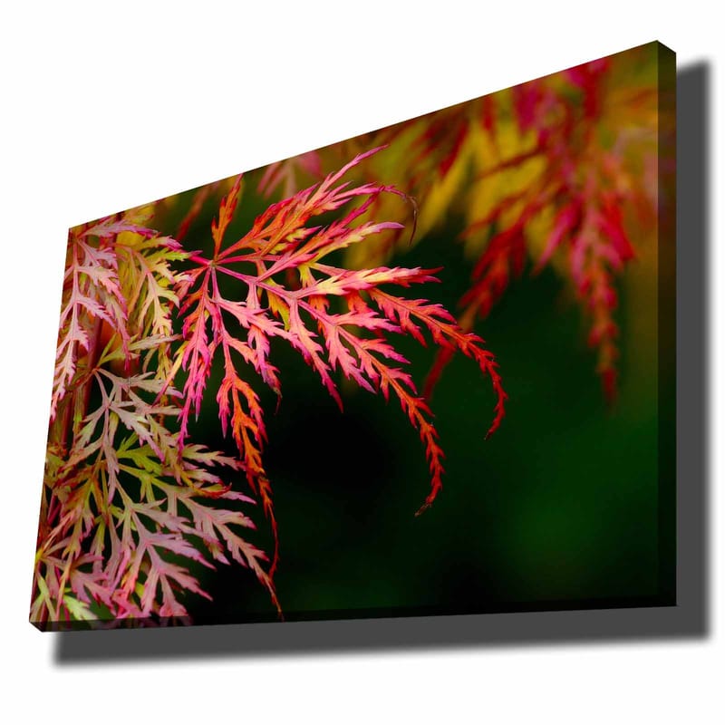 Dekorativ Canvasbilde 70x100 cm - Flerfarget - Interiør - Maleri & posters - Lerretsbilder
