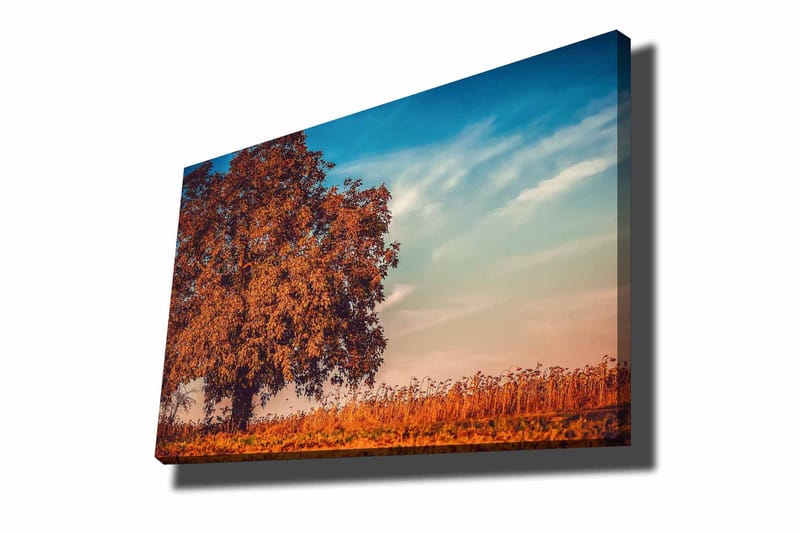 Dekorativ Canvasbilde 70x100 cm - Flerfarget - Interiør - Maleri & posters - Lerretsbilder