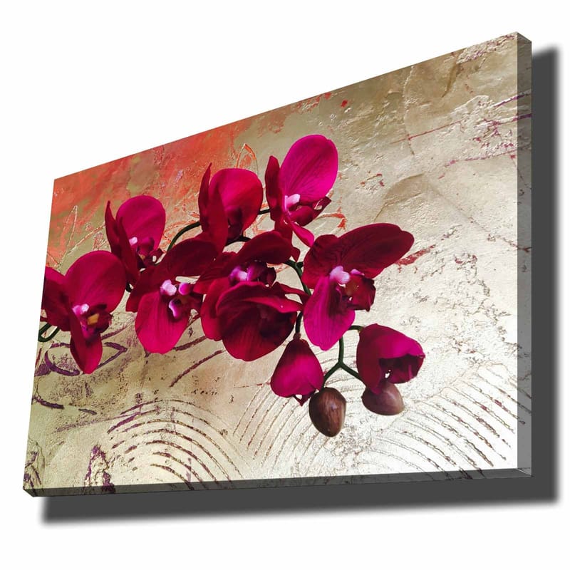 Dekorativ Canvasbilde 70x100 cm - Flerfarget - Interiør - Maleri & posters - Lerretsbilder