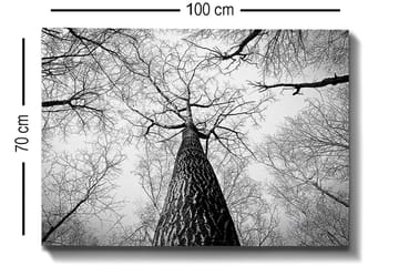 Dekorativ Canvasbilde 70x100 cm - Flerfarget - Interiør - Maleri & posters - Lerretsbilder