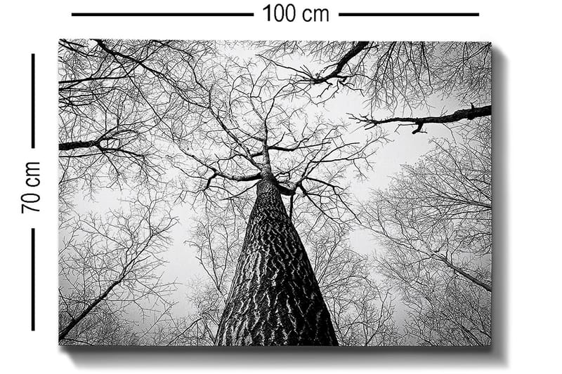 Dekorativ Canvasbilde 70x100 cm - Flerfarget - Interiør - Maleri & posters - Lerretsbilder