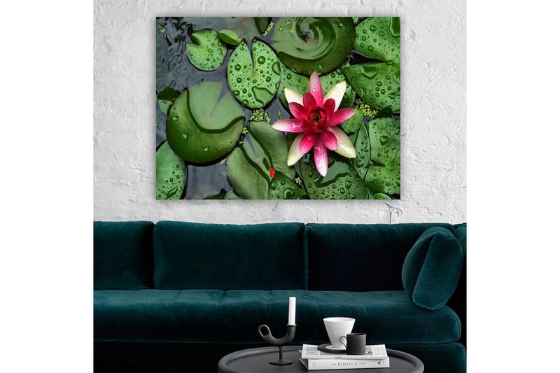 Dekorativ Canvasbilde 70x100 cm - Flerfarget - Interiør - Maleri & posters - Lerretsbilder