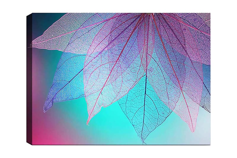 Dekorativ Canvasbilde 70x100 cm, Flerfarget
