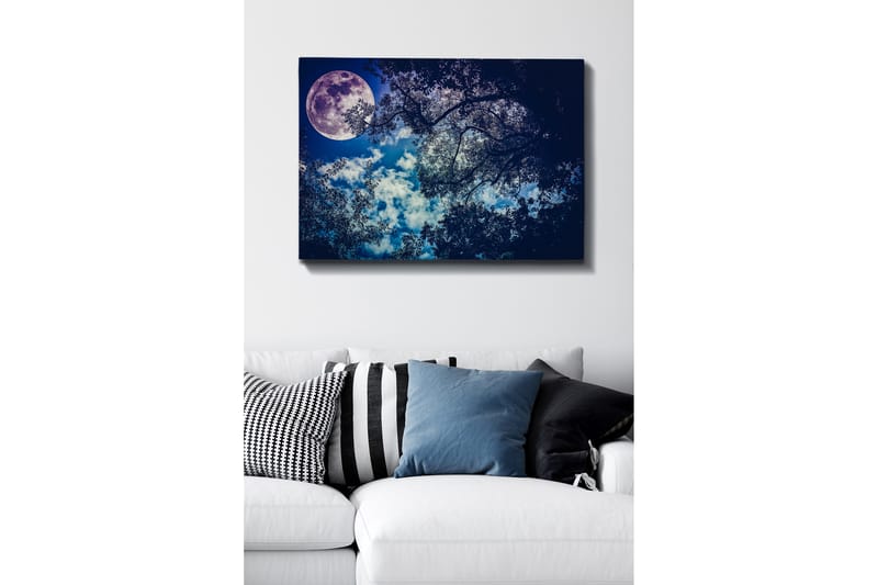 Dekorativ Canvasbilde 70x100 cm - Flerfarget - Interiør - Maleri & posters - Lerretsbilder