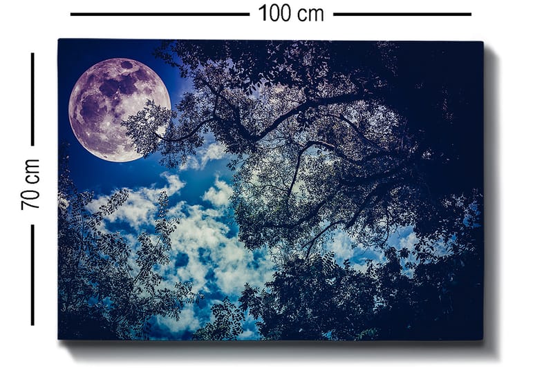 Dekorativ Canvasbilde 70x100 cm - Flerfarget - Interiør - Maleri & posters - Lerretsbilder