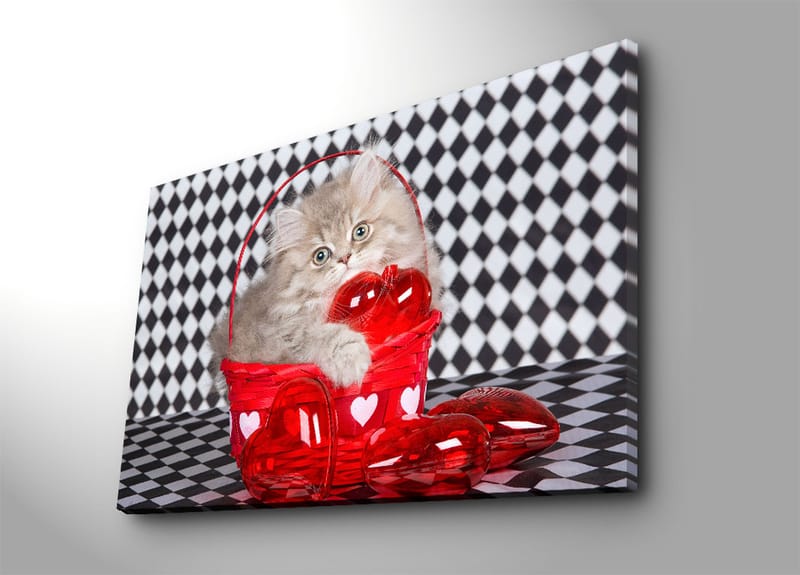 Dekorativ Canvasbilde 70x100 cm - Flerfarget - Interiør - Maleri & posters - Lerretsbilder