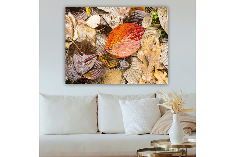 Dekorativ Canvasbilde 70x100 cm - Flerfarget - Interiør - Maleri & posters - Lerretsbilder