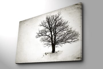 Dekorativ Canvasbilde 70x100 cm - Flerfarget - Interiør - Maleri & posters - Lerretsbilder