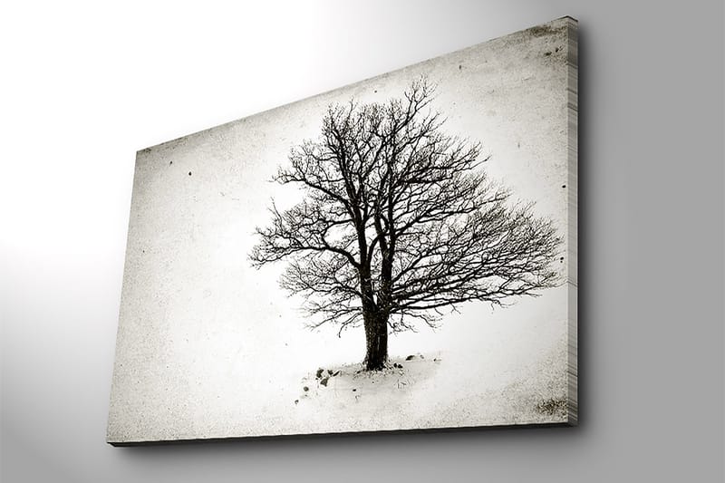 Dekorativ Canvasbilde 70x100 cm - Flerfarget - Interiør - Maleri & posters - Lerretsbilder