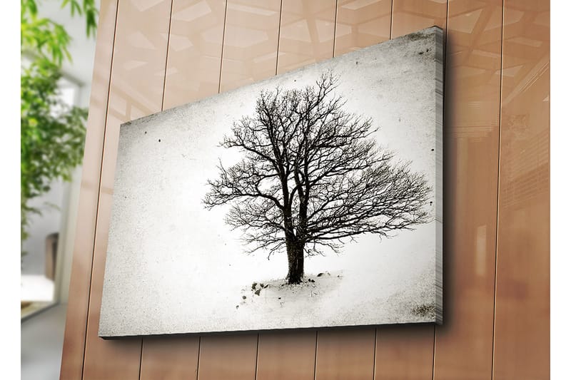 Dekorativ Canvasbilde 70x100 cm - Flerfarget - Interiør - Maleri & posters - Lerretsbilder