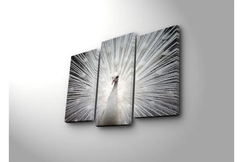 Dekorativ Canvasbilde LED-belysning 3 Deler - Flerfarget - Interiør - Maleri & posters - Lerretsbilder