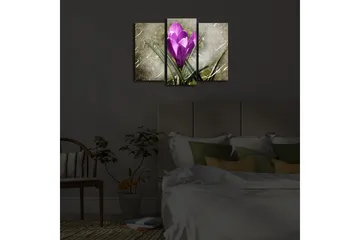 Dekorativ Canvasbilde LED-belysning 3 Deler - Flerfarget - Interiør - Maleri & posters - Lerretsbilder