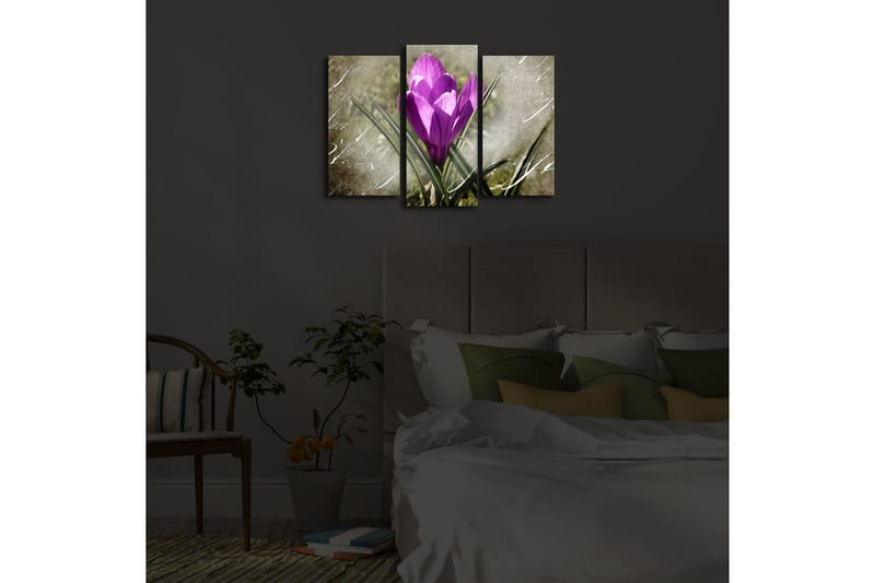 Dekorativ Canvasbilde LED-belysning 3 Deler - Flerfarget - Interiør - Maleri & posters - Lerretsbilder