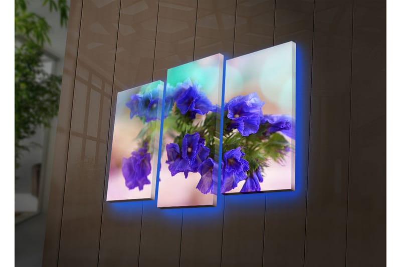 Dekorativ Canvasbilde LED-belysning 3 Deler - Flerfarget - Interiør - Maleri & posters - Lerretsbilder