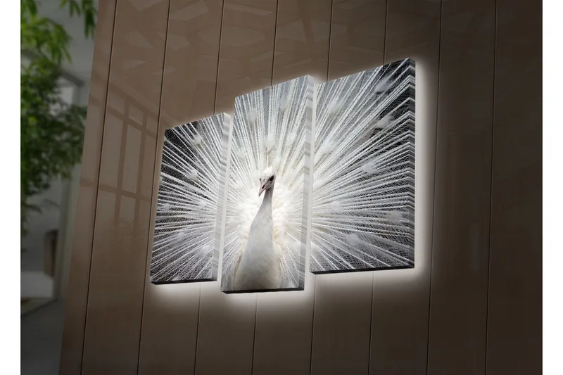 Dekorativ Canvasbilde LED-belysning 3 Deler, Flerfarget