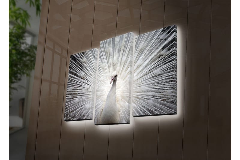 Dekorativ Canvasbilde LED-belysning 3 Deler, Flerfarget