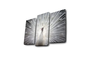 Dekorativ Canvasbilde LED-belysning 3 Deler - Flerfarget - Interiør - Maleri & posters - Lerretsbilder