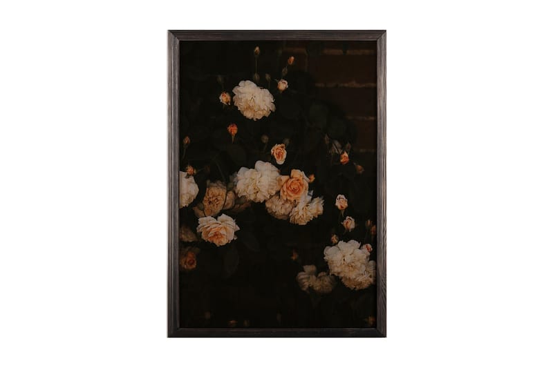 Dekorativ InnRammemet maling 35x50 cm - Flerfarget - Interiør - Maleri & posters - Lerretsbilder