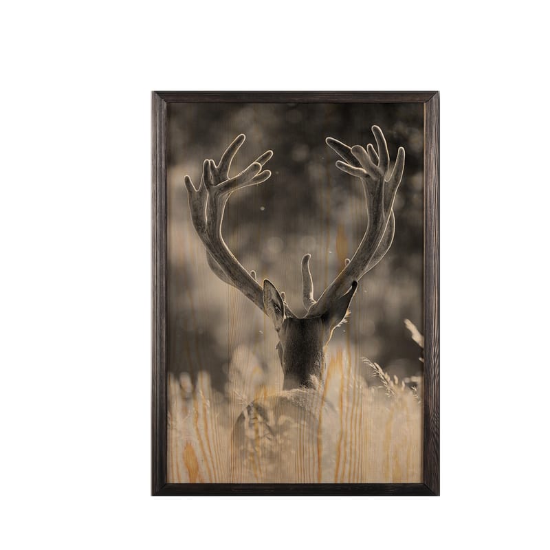 Dekorativ InnRammemet maling 35x50 cm - Flerfarget - Interiør - Maleri & posters - Lerretsbilder