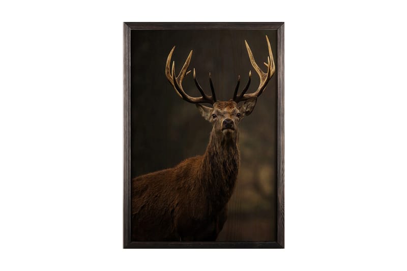 Dekorativ InnRammemet maling 35x50 cm - Flerfarget - Interiør - Maleri & posters - Lerretsbilder