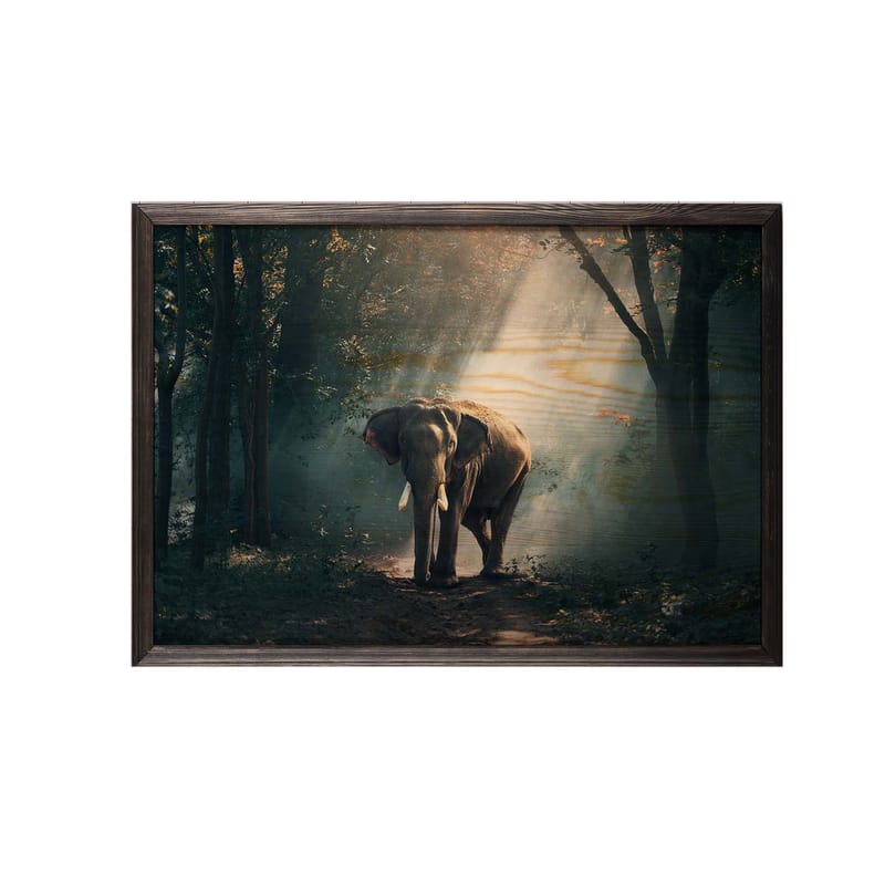 Dekorativ InnRammemet maling 35x50 cm - Flerfarget - Interiør - Maleri & posters - Lerretsbilder