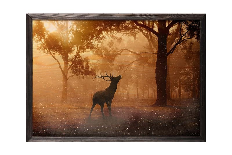 Dekorativ InnRammemet maling 35x50 cm - Flerfarget - Interiør - Maleri & posters - Lerretsbilder