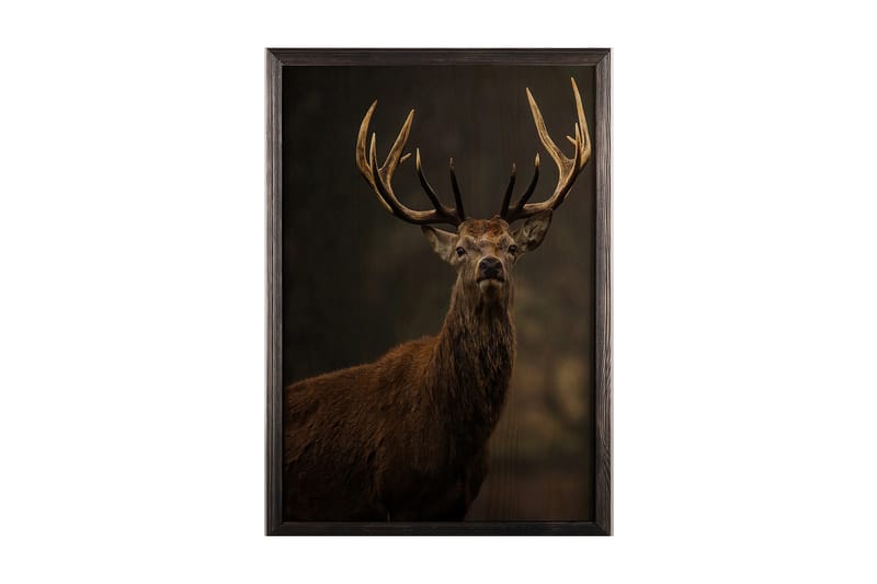 Dekorativ InnRammemet maling 50x70 cm - Flerfarget - Interiør - Maleri & posters - Lerretsbilder