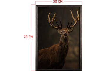 Dekorativ InnRammemet maling 50x70 cm - Flerfarget - Interiør - Maleri & posters - Lerretsbilder