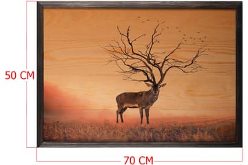 Dekorativ InnRammemet maling 50x70 cm - Flerfarget - Interiør - Maleri & posters - Lerretsbilder