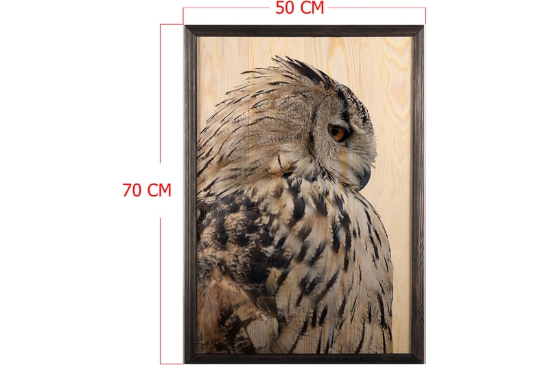 Dekorativ InnRammemet maling 50x70 cm - Flerfarget - Interiør - Maleri & posters - Lerretsbilder