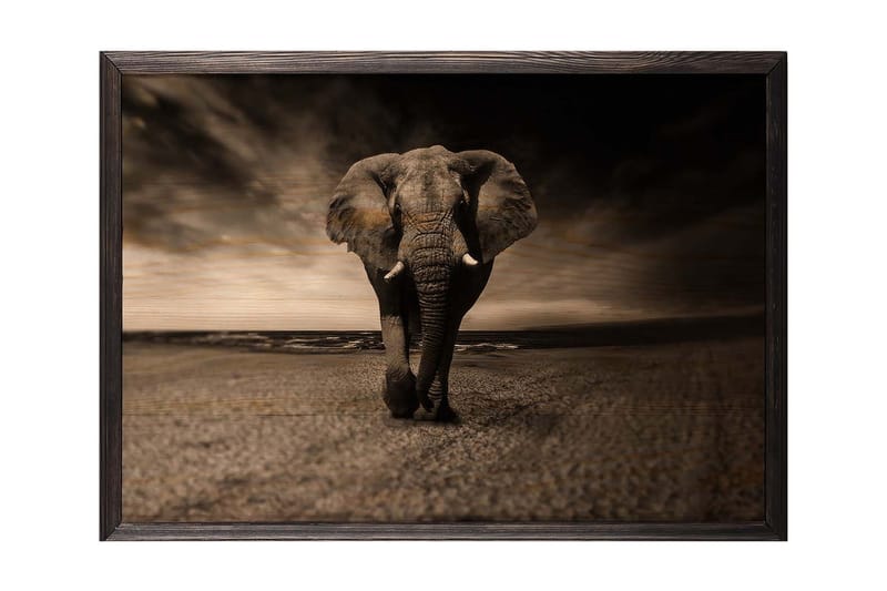 Dekorativ InnRammemet maling 50x70 cm - Flerfarget - Interiør - Maleri & posters - Lerretsbilder