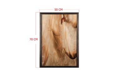 Dekorativ InnRammemet maling 50x70 cm - Flerfarget - Interiør - Maleri & posters - Lerretsbilder