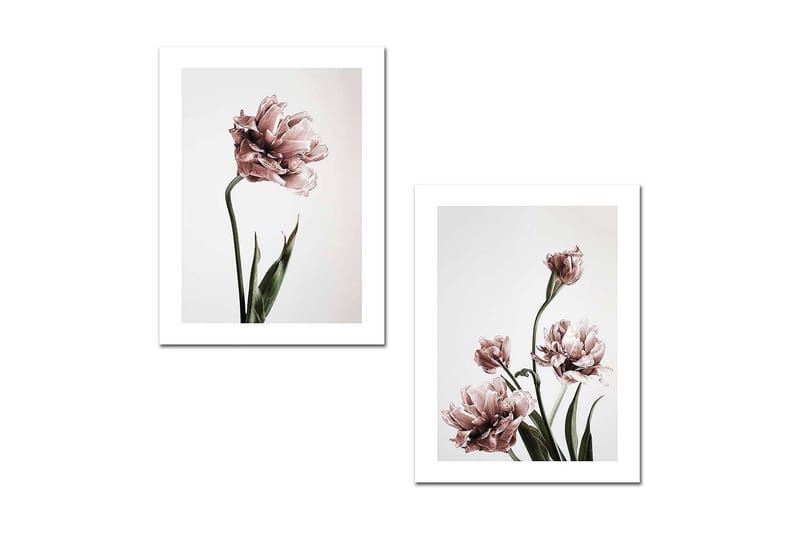 Dekorativ MDF-bilde 2 Deler, Flerfarget