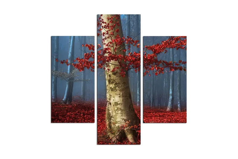 Dekorativ MDF-bilde 3 Deler - Flerfarget - Interiør - Maleri & posters - Lerretsbilder