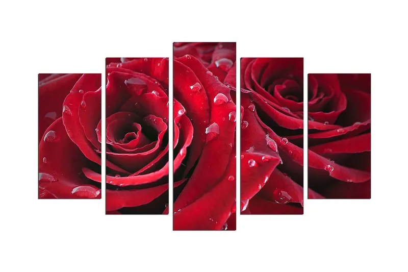 Dekorativ MDF-bilde 5 Deler, Flerfarget