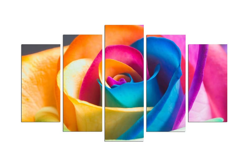 Dekorativ MDF-bilde 5 Deler - Flerfarget - Interiør - Maleri & posters - Lerretsbilder