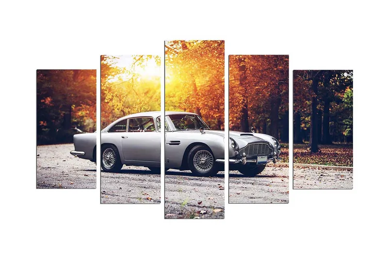 Dekorativ MDF-bilde 5 Deler, Flerfarget